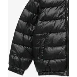 Bear Logo Puffer Jacket